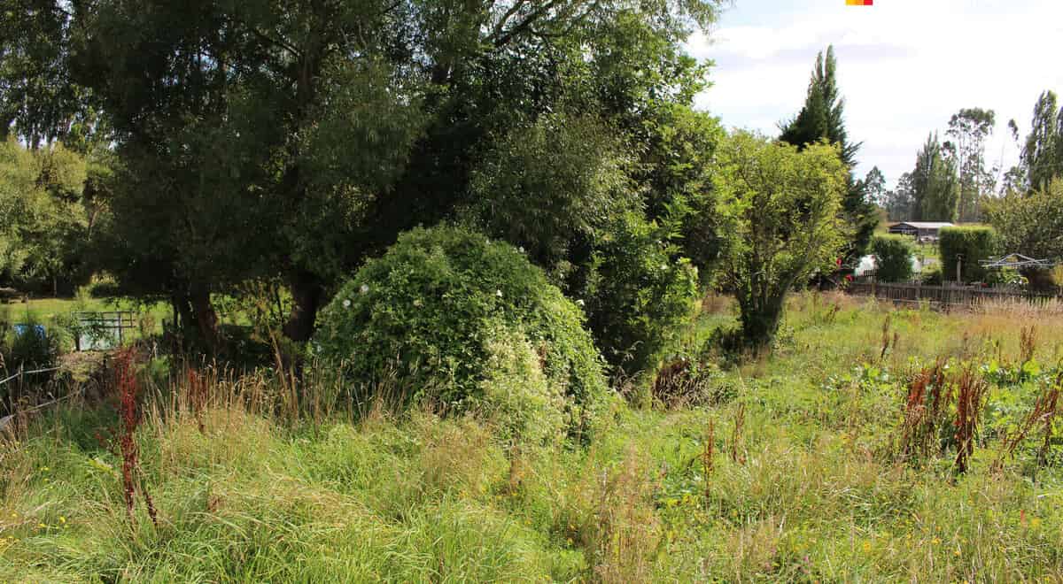 41 Eddystone Street, Kaitangata, Clutha For Sale realestate.co.nz