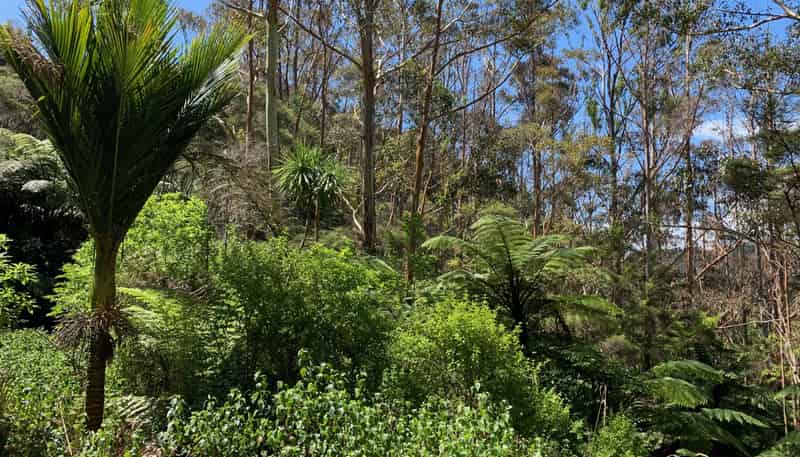 Lot 17 Puhata Road, Herekino
