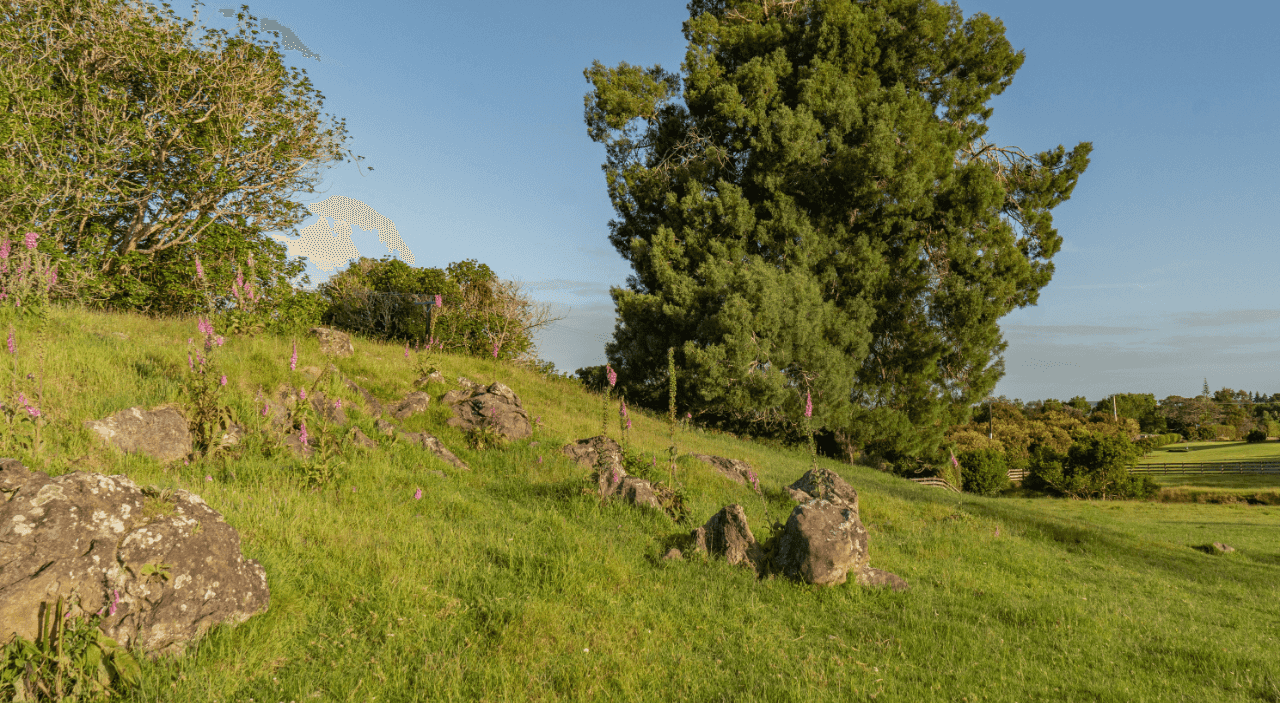 17 Golf Harbour Drive, Maunu, Whangarei For Sale realestate.co.nz