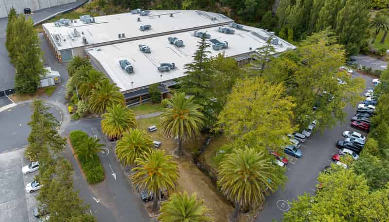 11-15 Jepsen Grove, Wallaceville