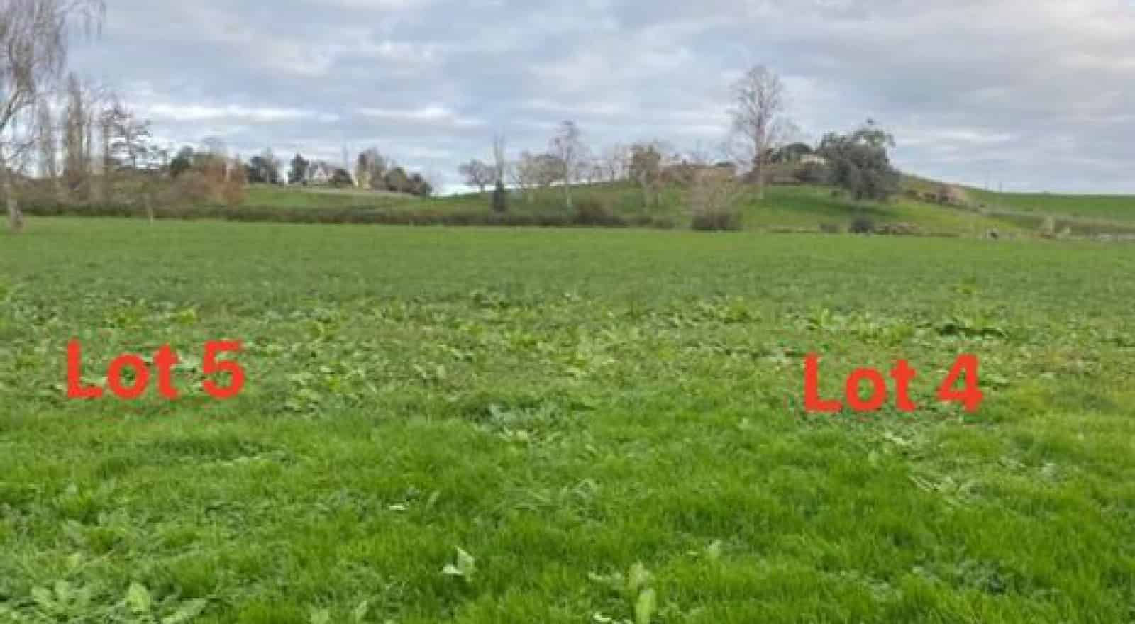 C/Lot 4 163 Old Te Kuiti Road, Otorohanga, Otorohanga For Sale