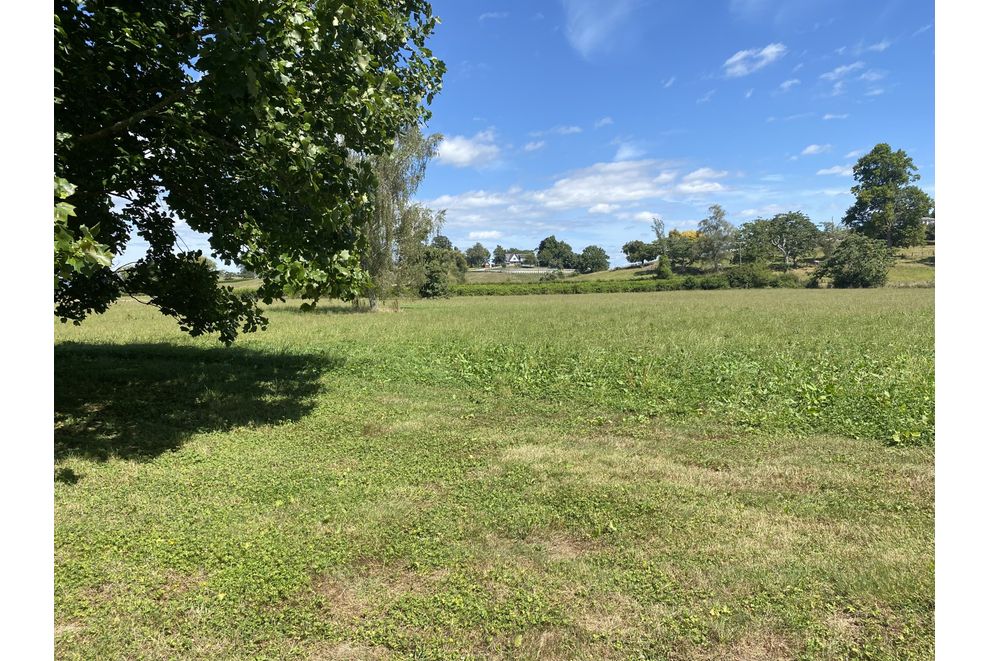 C/Lot 4 163 Old Te Kuiti Road, Otorohanga, Otorohanga For Sale
