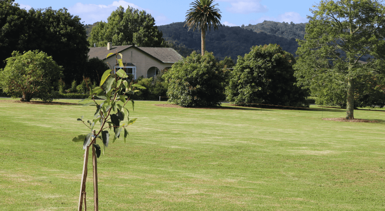 Lot 4 Kaymahr Lane, Maunu, Whangarei For Sale realestate.co.nz
