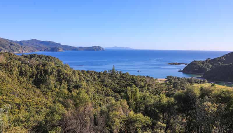 896 Tuateawa Road, Coromandel