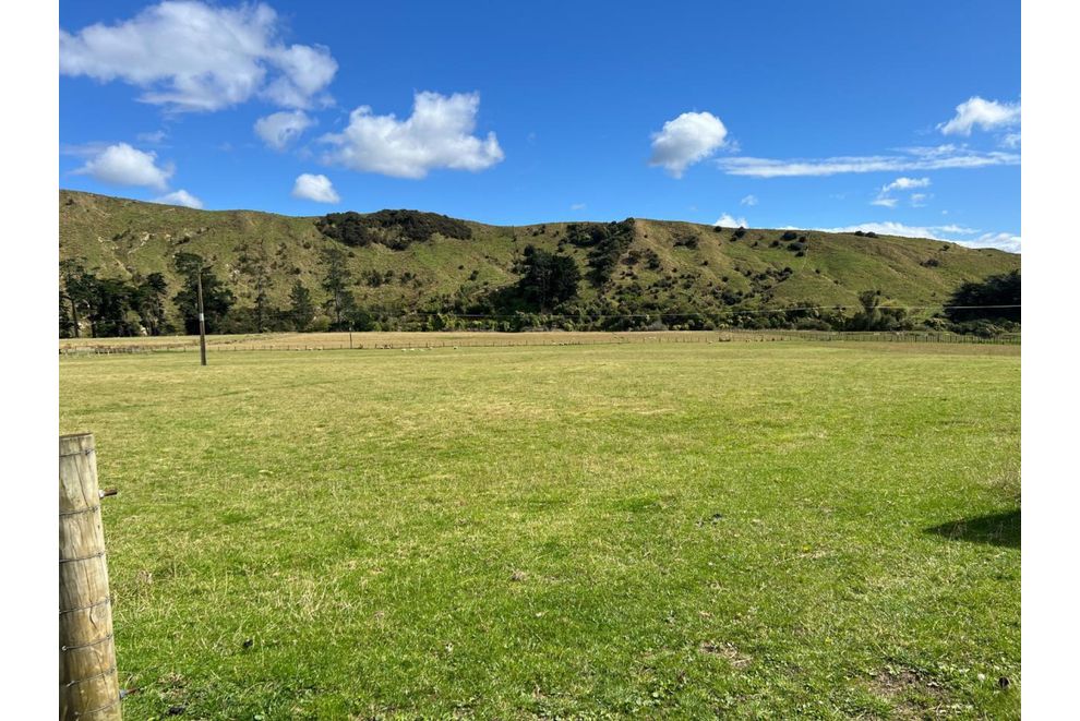 1311 Pahiatua Pongaroa Road, Pahiatua, Tararua For Sale realestate
