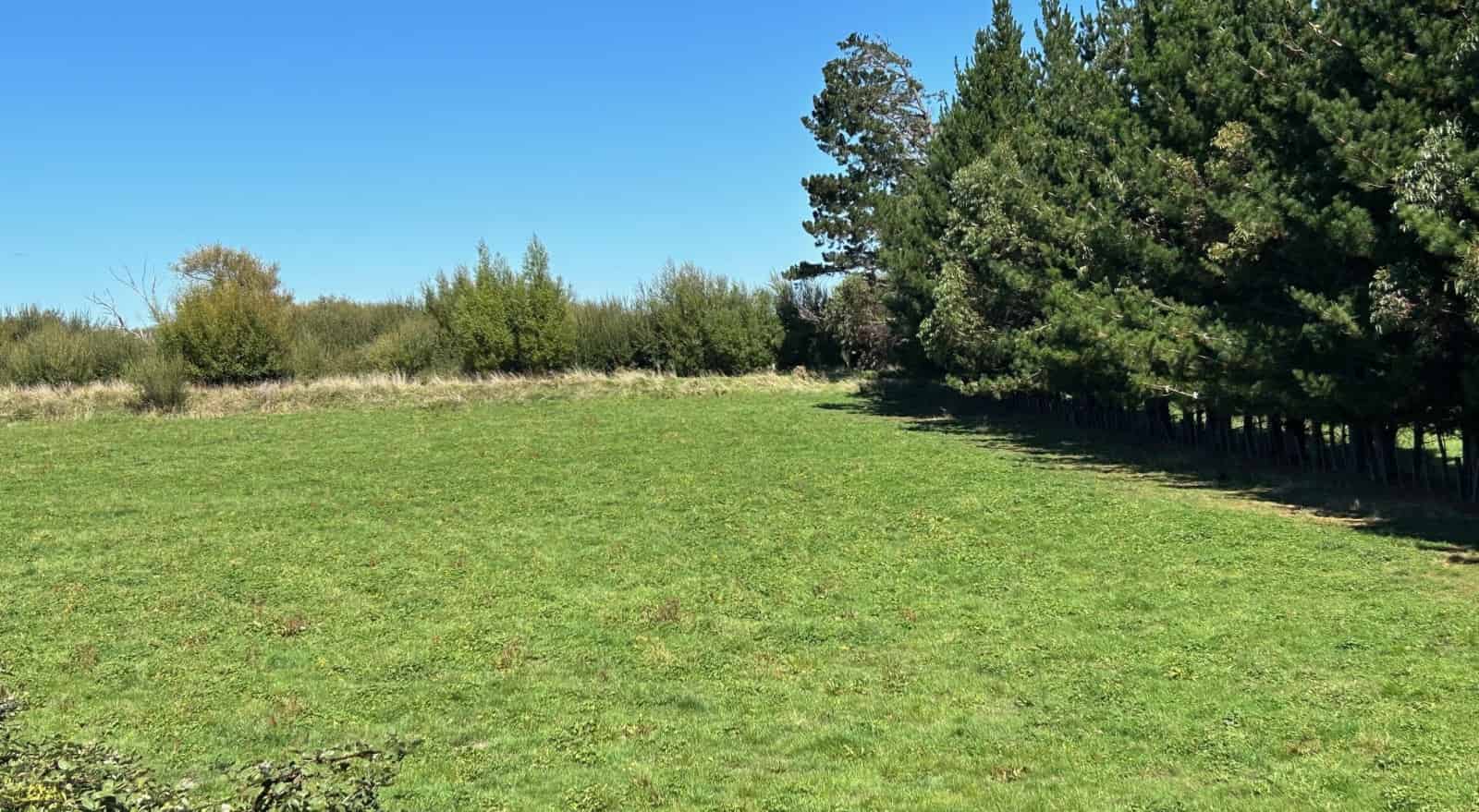 1 Broomfield Road, Woodville, Tararua For Sale realestate.co.nz