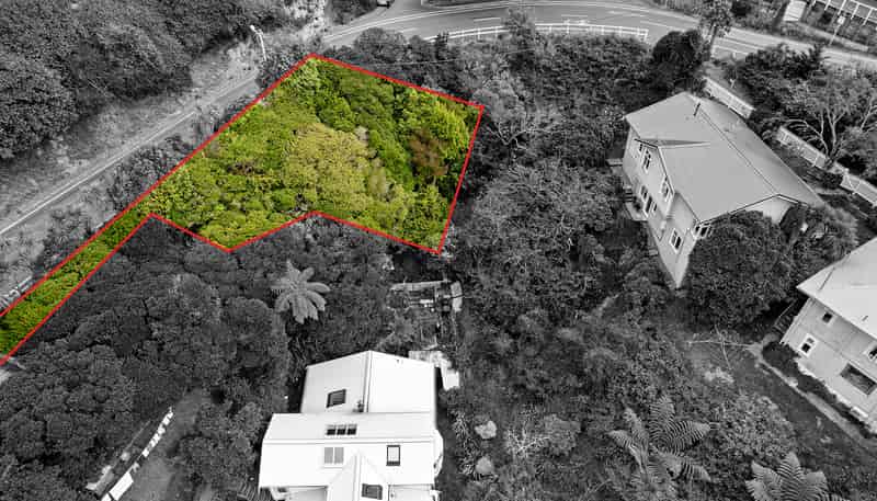 67 Raroa Road, Kelburn