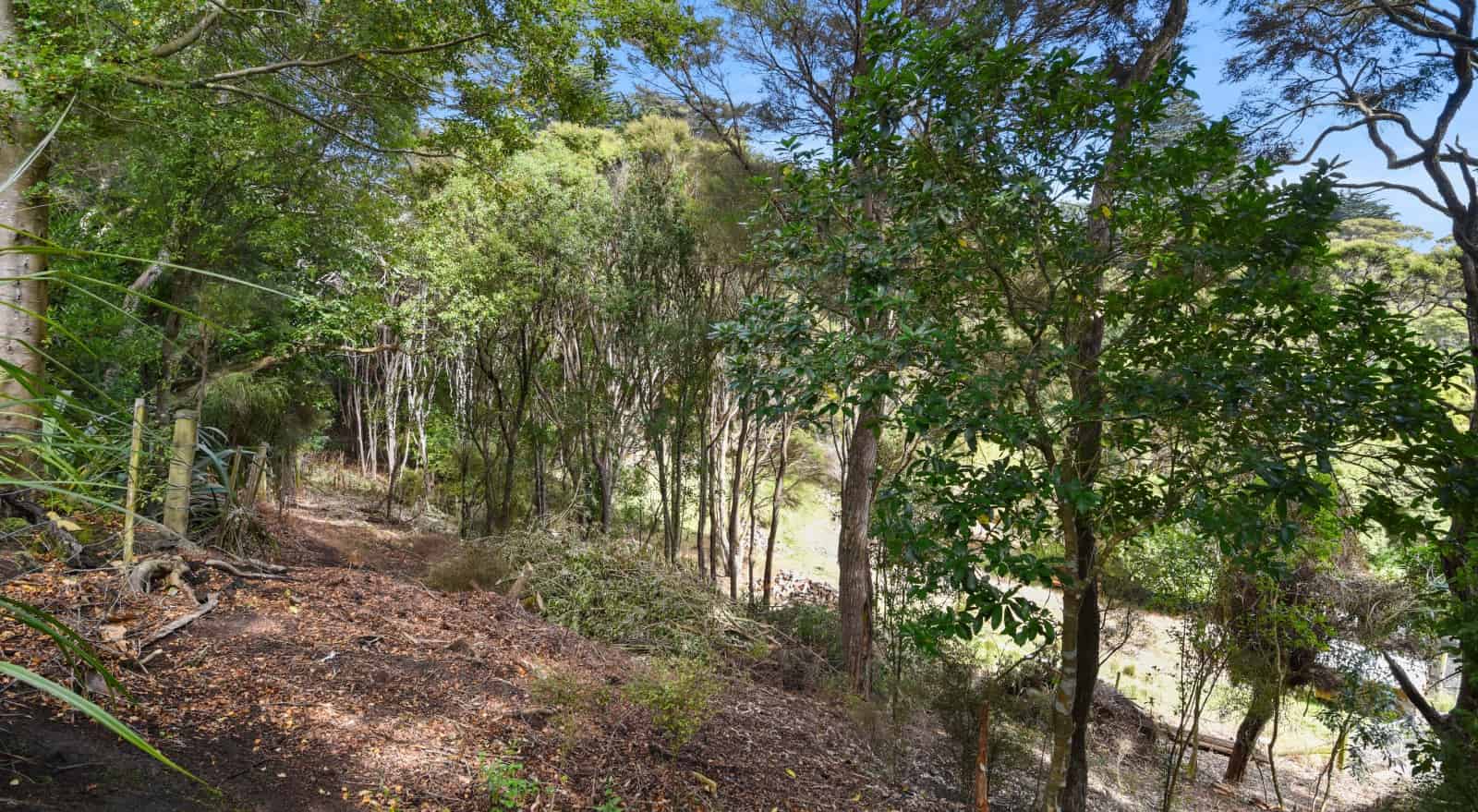 2 Treetop Drive, Portobello, Dunedin City For Sale realestate.co.nz