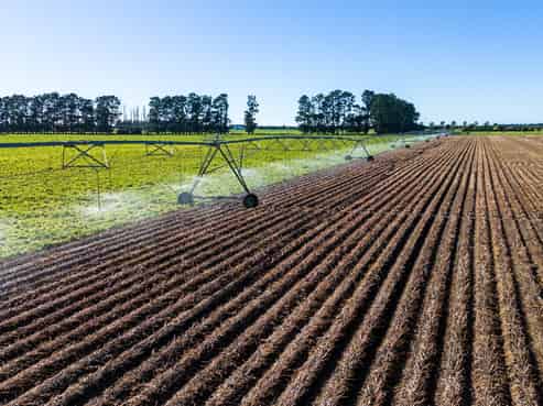 670 Dromore Methven Road, Winchmore