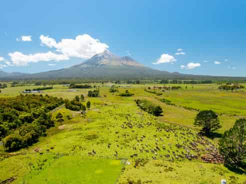 845 Kaweora Road, Te Kiri