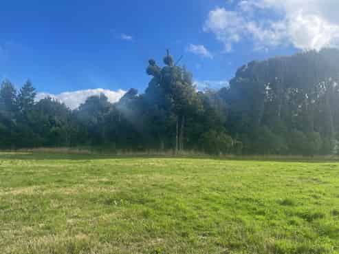 398 Wiremu Road, Te Kiri