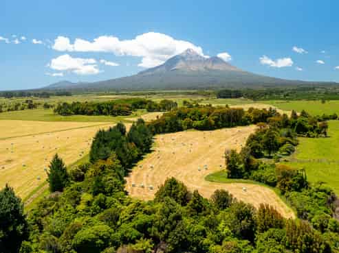 398 Wiremu Road, Te Kiri