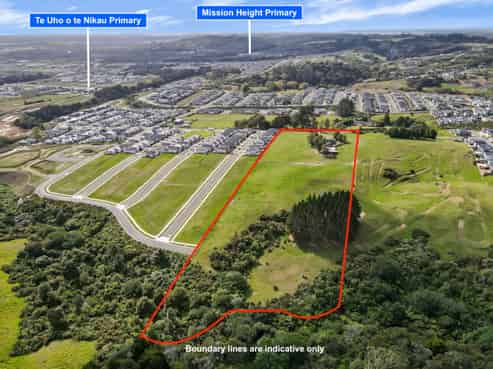 73 Longhorn Drive, Flat Bush