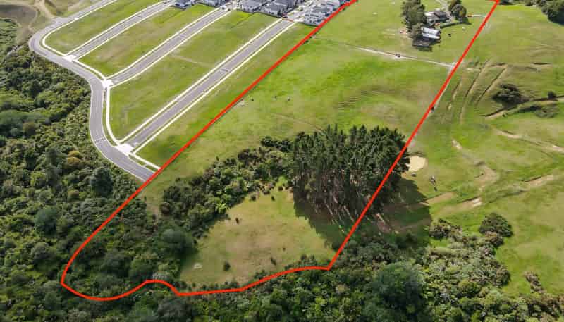 73 Longhorn Drive, Flat Bush