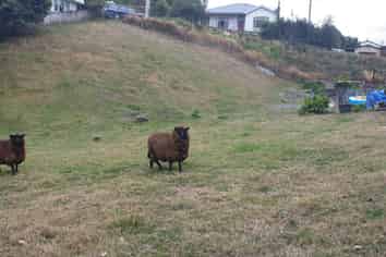 7 Suffolk Street, Picton