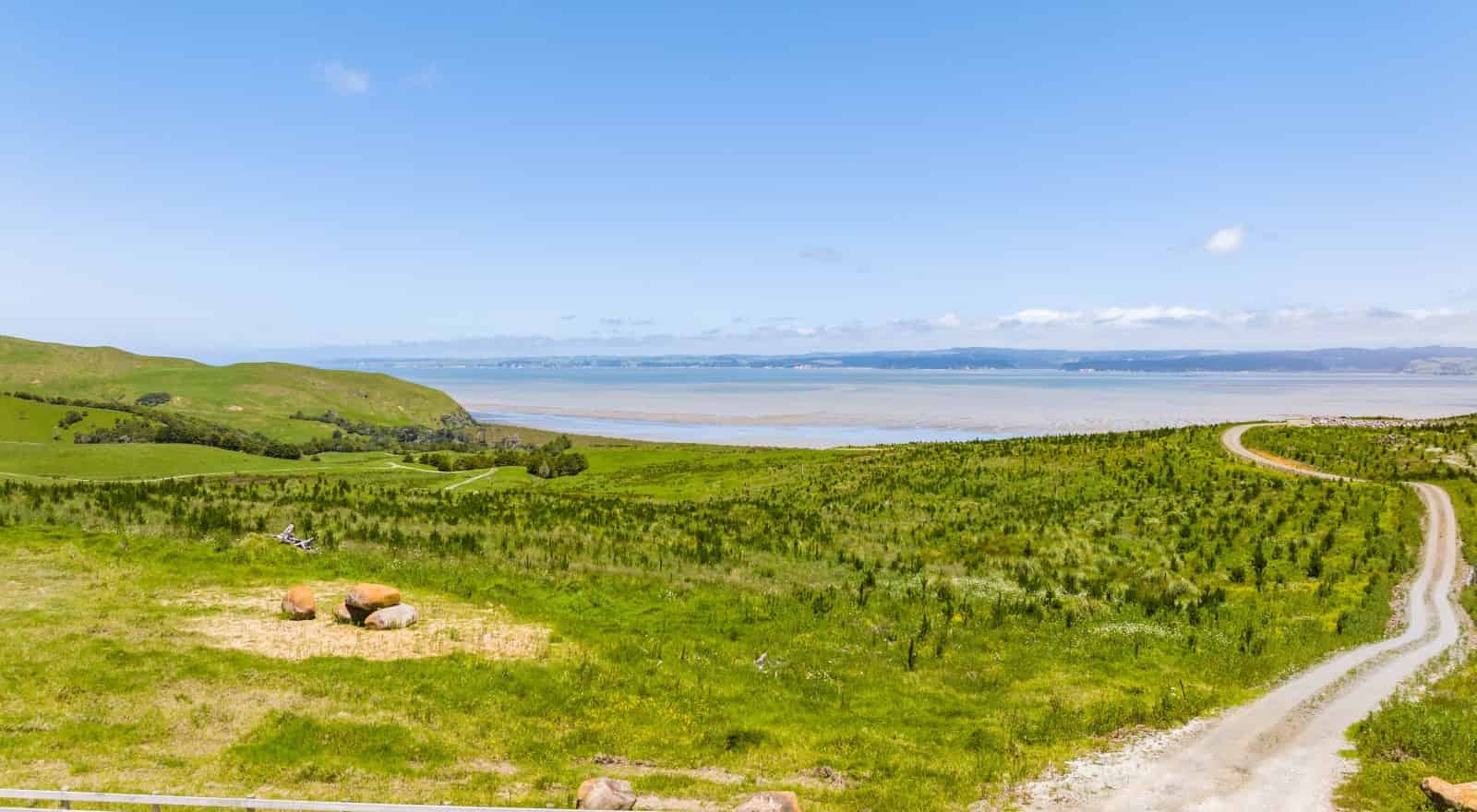 Gee Road, Matakohe, Kaipara For Sale realestate.co.nz