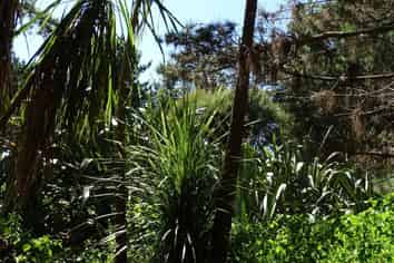 16 Waka Tete Place, Waitarere Beach