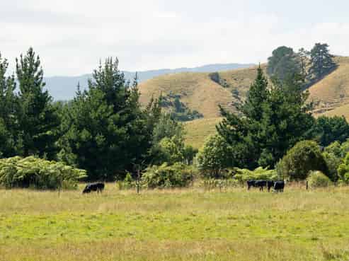 Lot 1-4 75 Settlement Road, Te Horo