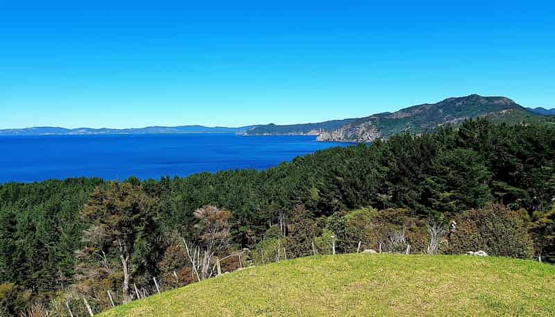 15 Kowhai Place, Coromandel