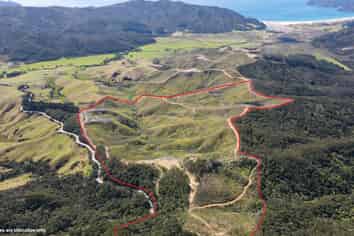 478 Port Charles Road, Waikawau