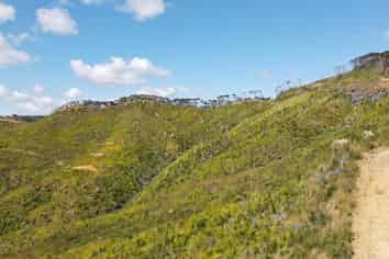 478 Port Charles Road, Waikawau