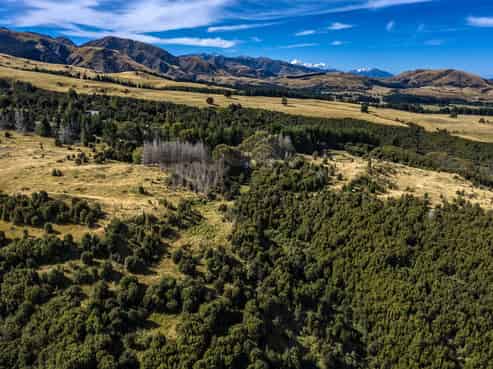 253 Mt Lyford Forest Drive, Lyford