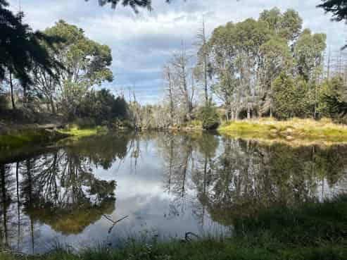 253 Mt Lyford Forest Drive, Lyford