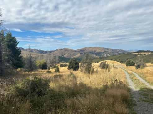 253 Mt Lyford Forest Drive, Lyford