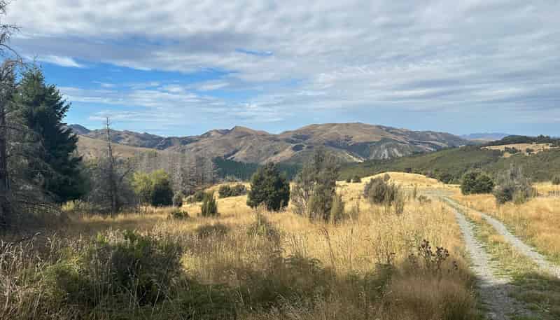 253 Mt Lyford Forest Drive, Lyford