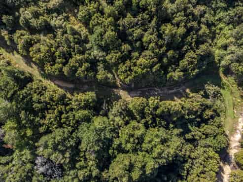 253 Mt Lyford Forest Drive, Lyford