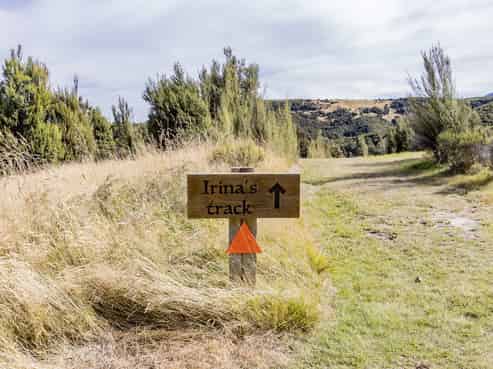 253 Mt Lyford Forest Drive, Lyford