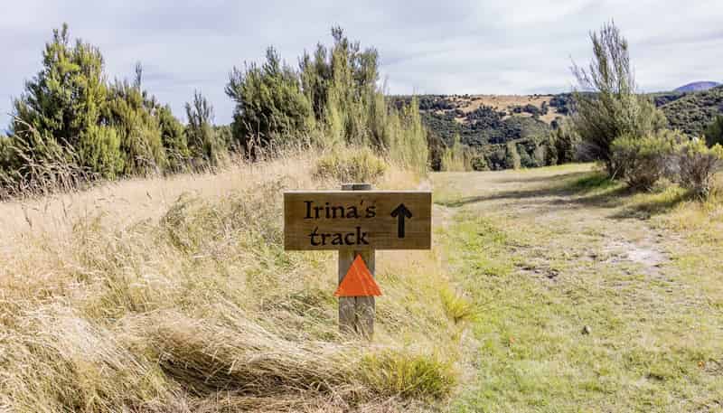 253 Mt Lyford Forest Drive, Lyford