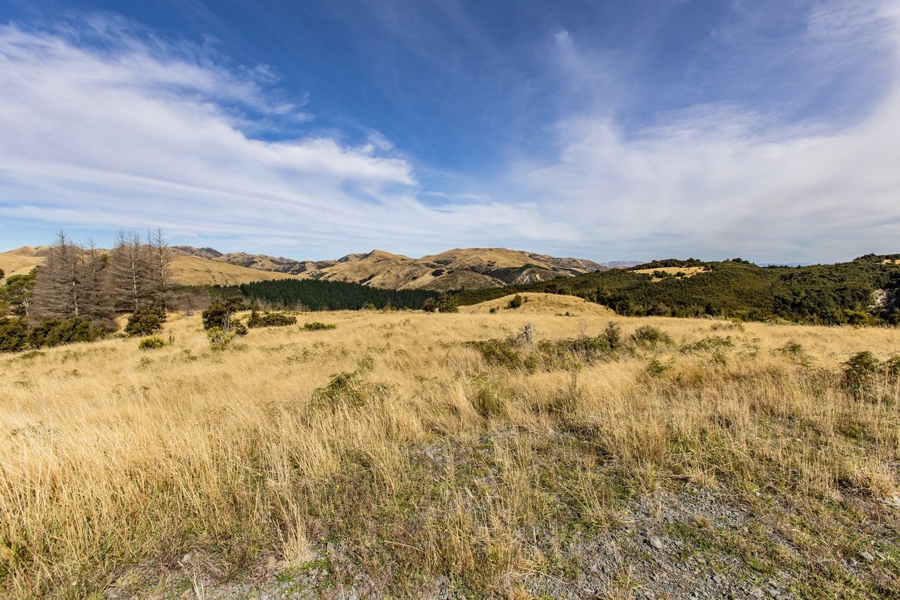 Enchanting Slice of New Zealand! – pohled 6