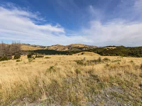 253 Mt Lyford Forest Drive, Lyford