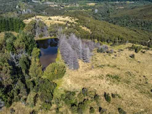253 Mt Lyford Forest Drive, Lyford