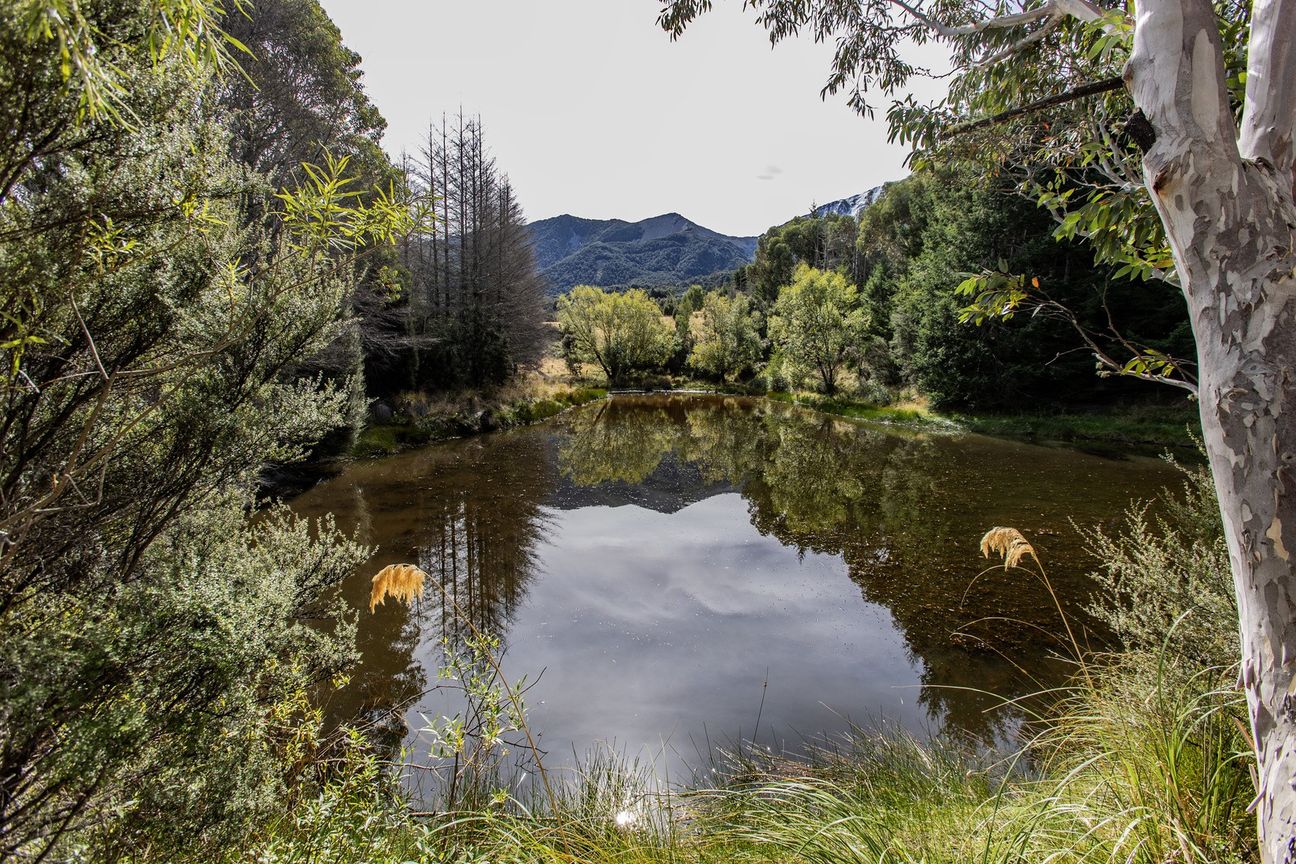 Enchanting Slice of New Zealand! – pohled 4