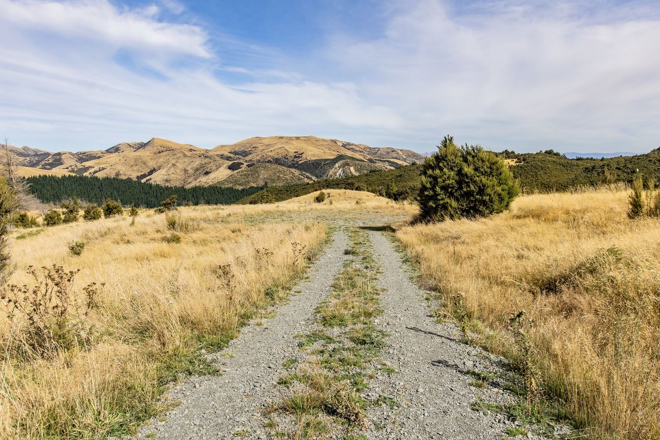 Enchanting Slice of New Zealand! – pohled 3