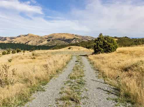 253 Mt Lyford Forest Drive, Lyford