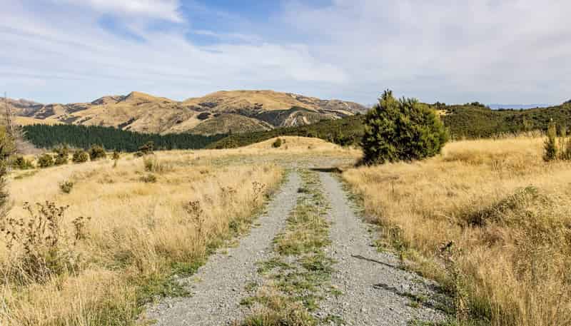 253 Mt Lyford Forest Drive, Lyford