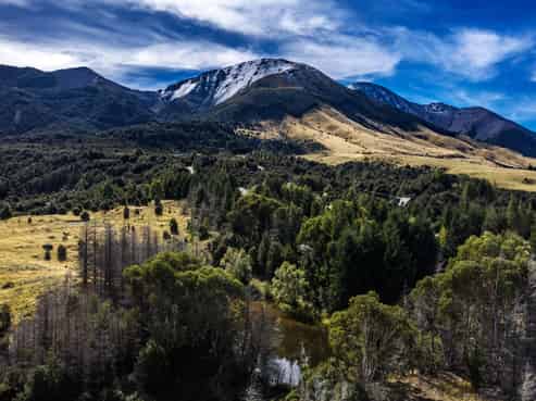 253 Mt Lyford Forest Drive, Lyford