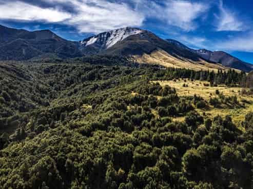 253 Mt Lyford Forest Drive, Lyford