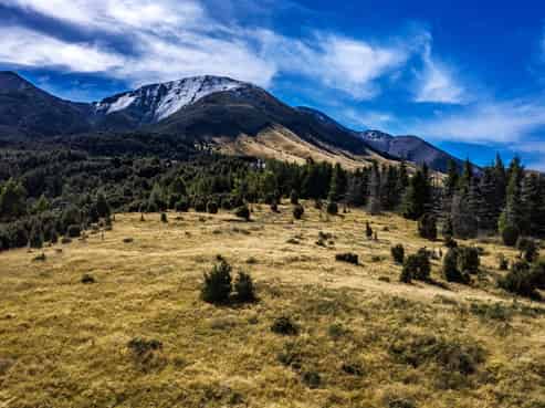 253 Mt Lyford Forest Drive, Lyford