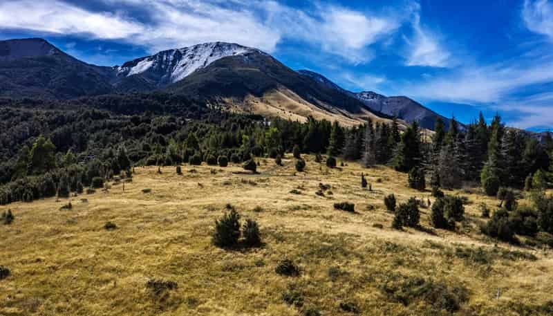 253 Mt Lyford Forest Drive, Lyford