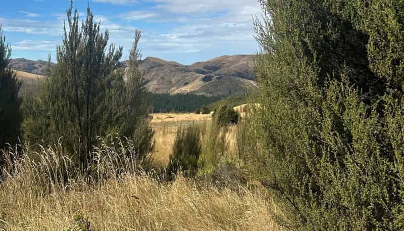 253 Mt Lyford Forest Drive, Lyford