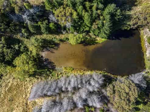 253 Mt Lyford Forest Drive, Lyford