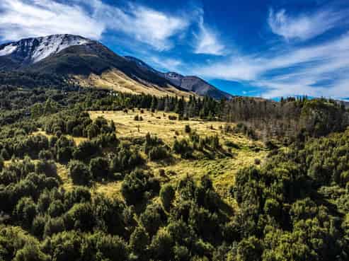 253 Mt Lyford Forest Drive, Lyford