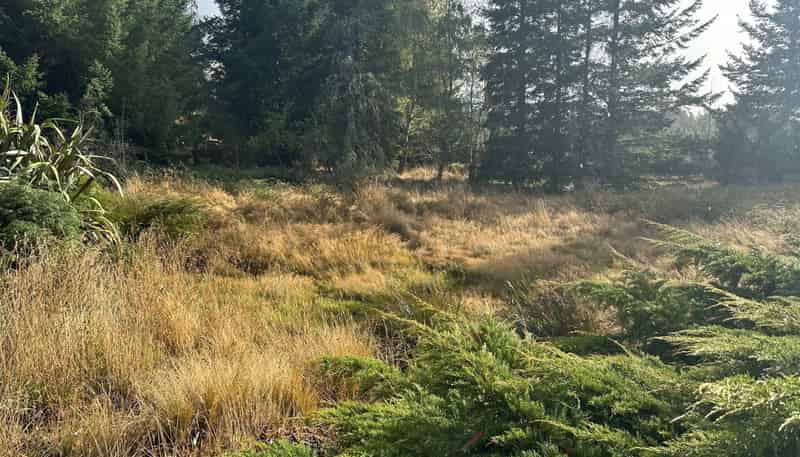 1 Mt Lyford Avenue, Lyford