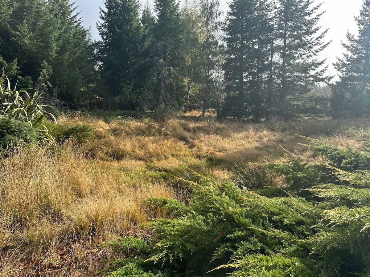 Nature's Retreat - Widok 5