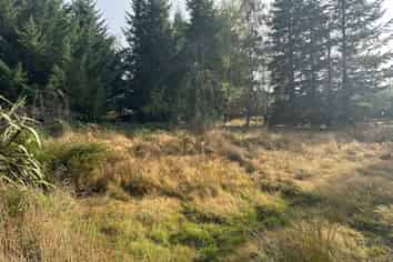 1 Mt Lyford Avenue, Lyford