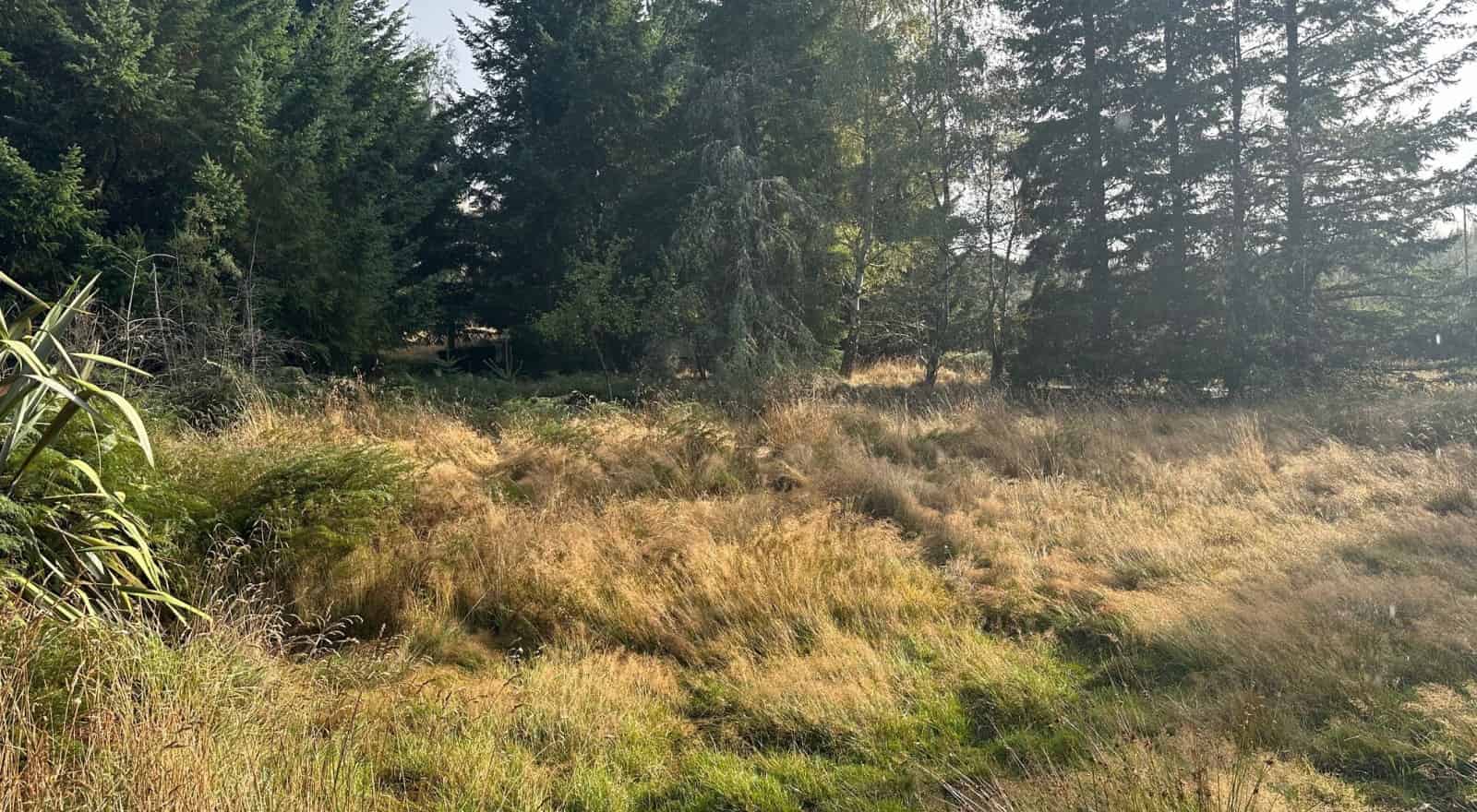 1 Mt Lyford Avenue, Lyford, Hurunui For Sale realestate.co.nz